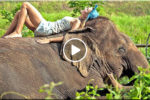 SAIYOK ELEPHANT CAMP (ปางช้างไทรโยค), Kanchanaburi